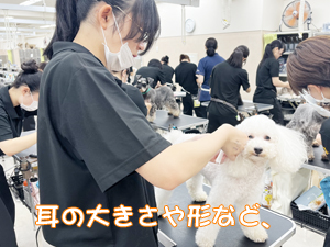 リボンの下地、ラッピングを強化！
